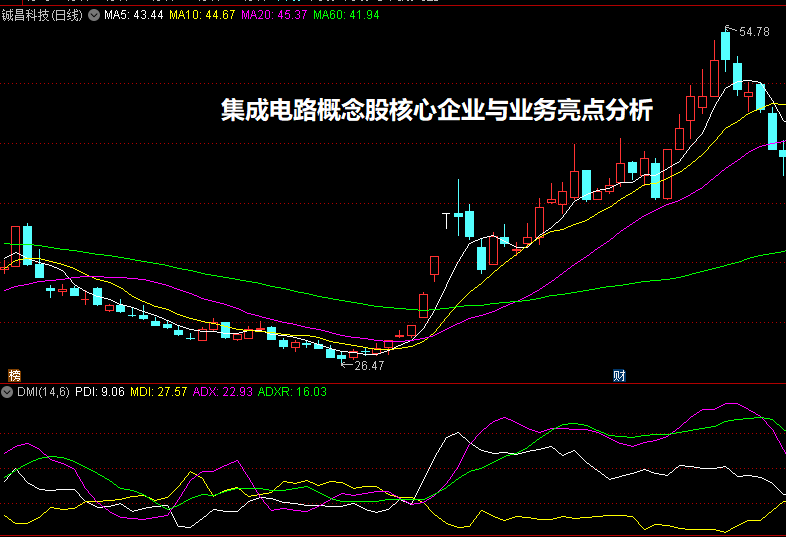 集成电路概念股核心企业与业务亮点分析