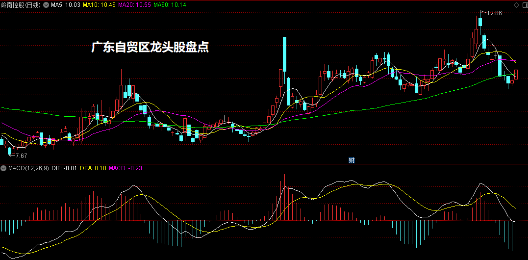 广东自贸区龙头股盘点(岭南控股等表现抢眼)