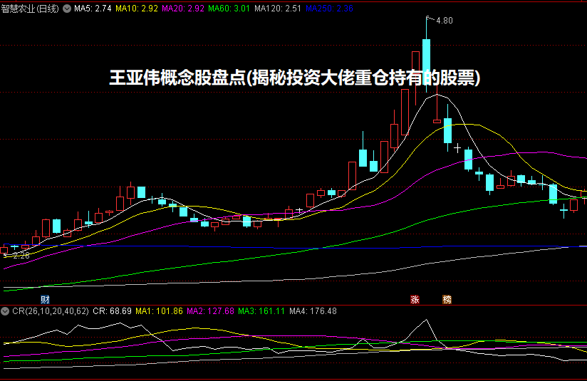 王亚伟概念股盘点(揭秘投资大佬重仓持有的股票)