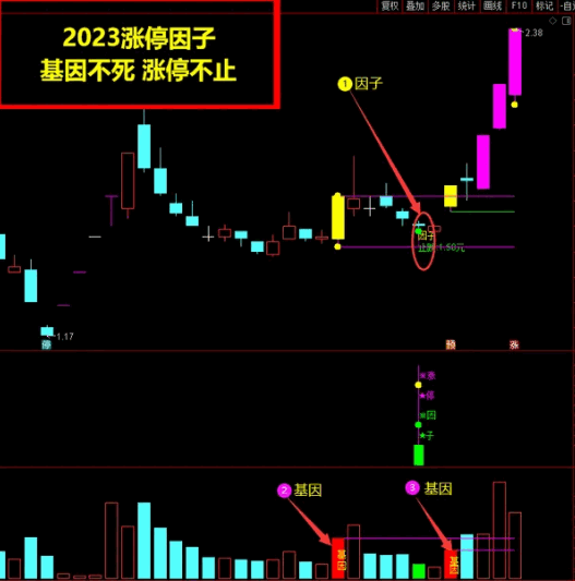 花钱购买的通达信【涨停基因全套】指标公式，在尾盘30分钟选股，成功率很高！
