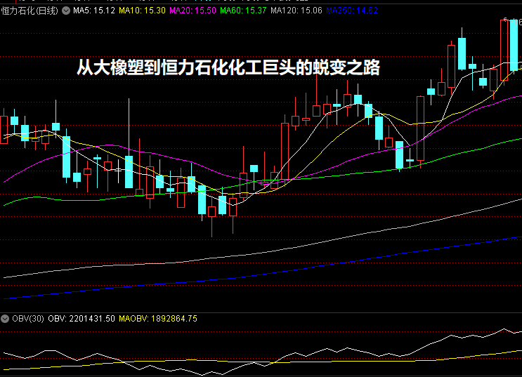 从大橡塑到恒力石化化工巨头的蜕变之路