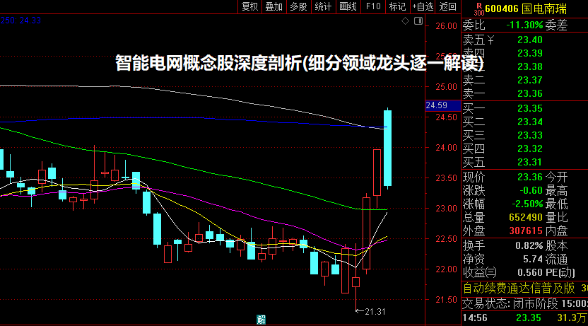 智能电网概念股深度剖析(细分领域龙头逐一解读)