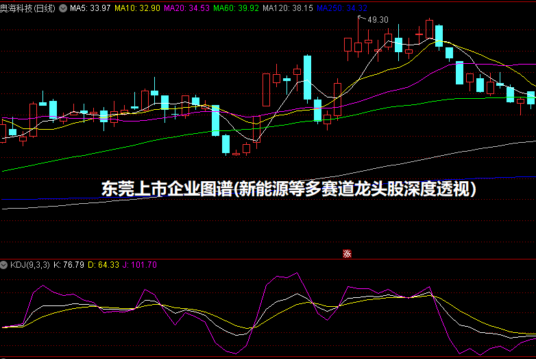 东莞上市企业图谱(新能源等多赛道龙头股深度透视）