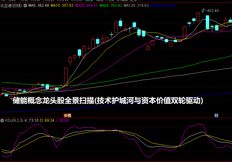 储能概念龙头股全景扫描(技术护城河与资本价值双轮驱动)