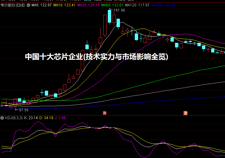 中国十大芯片企业(技术实力与市场影响全览)