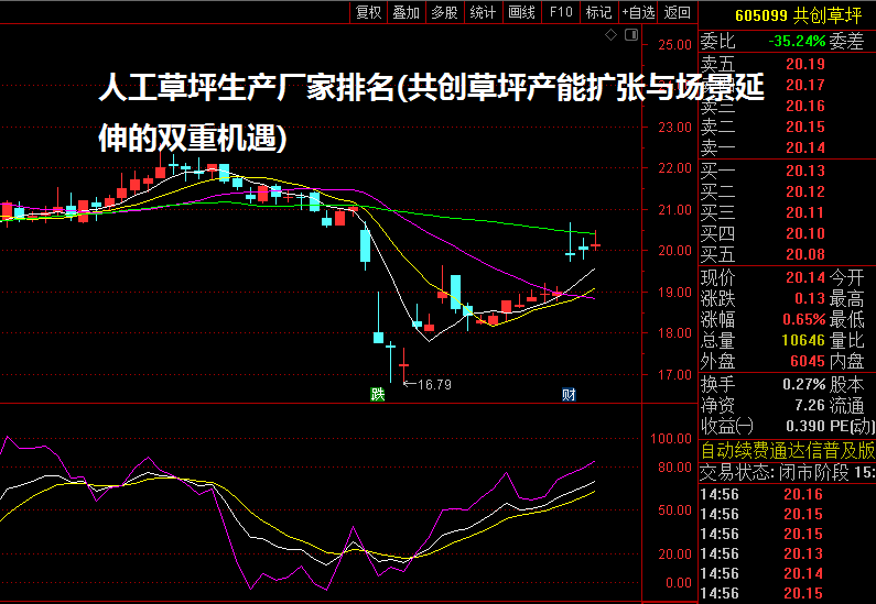 人工草坪生产厂家排名(共创草坪产能扩张与场景延伸的双重机遇)