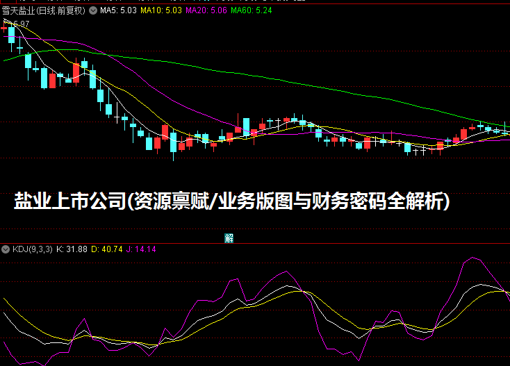 盐业上市公司(资源禀赋/业务版图与财务密码全解析)