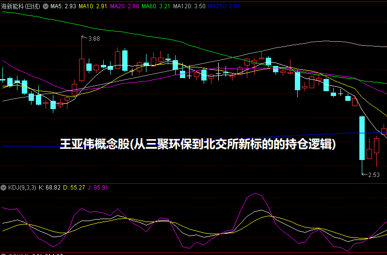 王亚伟概念股(从三聚环保到北交所新标的的持仓逻辑)