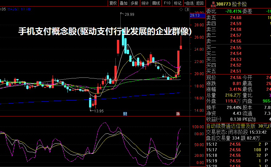 手机支付概念股(驱动支付行业发展的企业群像)