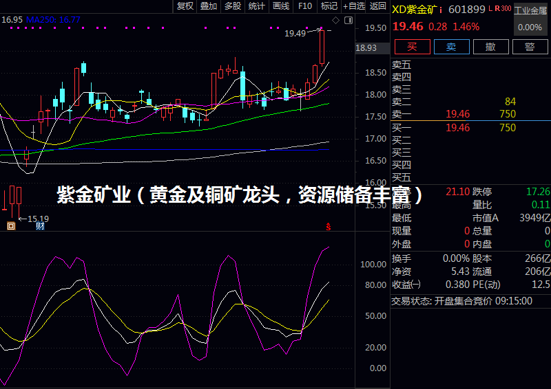 紫金矿业（黄金及铜矿龙头，资源储备丰富）