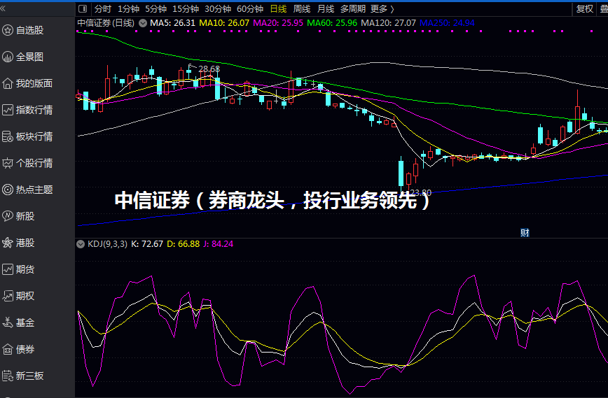 中信证券（券商龙头，投行业务领先）