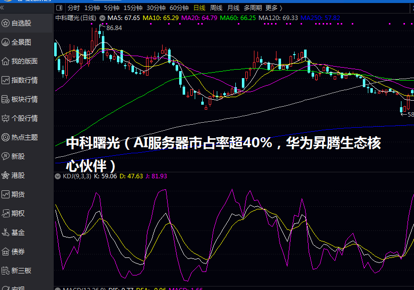 中科曙光（AI服务器市占率超40%，华为昇腾生态核心伙伴）