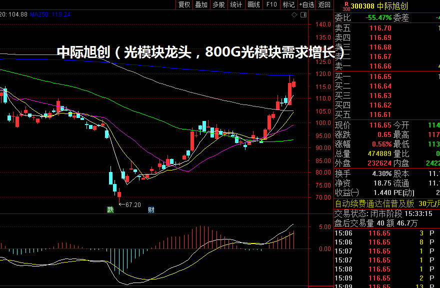 中际旭创（光模块龙头，800G光模块需求增长）