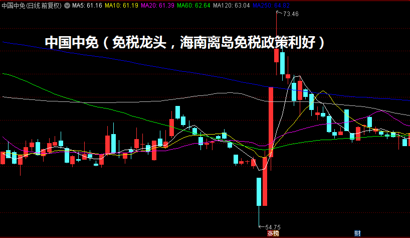 中国中免（免税龙头，海南离岛免税政策利好）