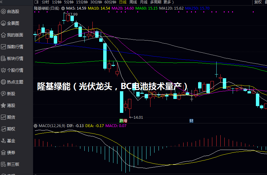 隆基绿能（光伏龙头，BC电池技术量产）