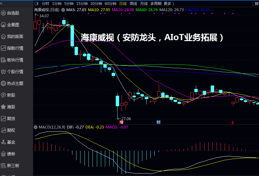 海康威视（安防龙头，AIoT业务拓展）
