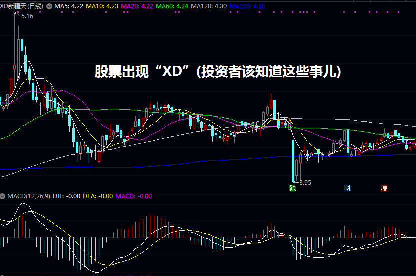 股票出现“XD”(投资者该知道这些事儿)