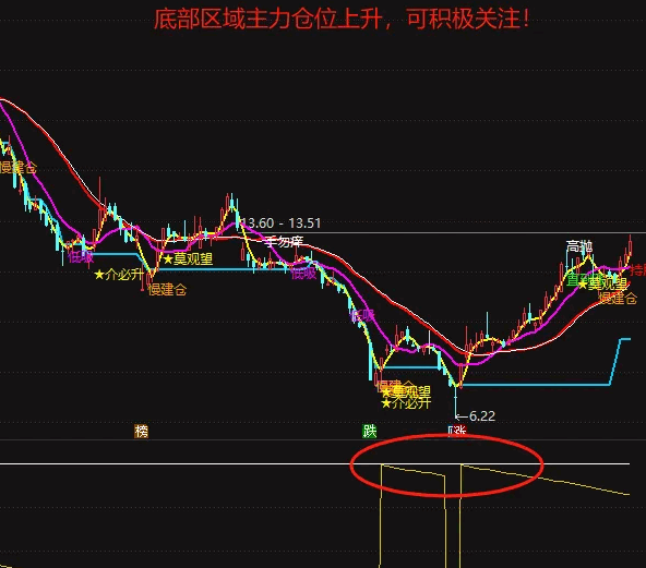 【主力仓位】副图指标，精确查看主力仓位，重点关注主力持仓加速上升个股！