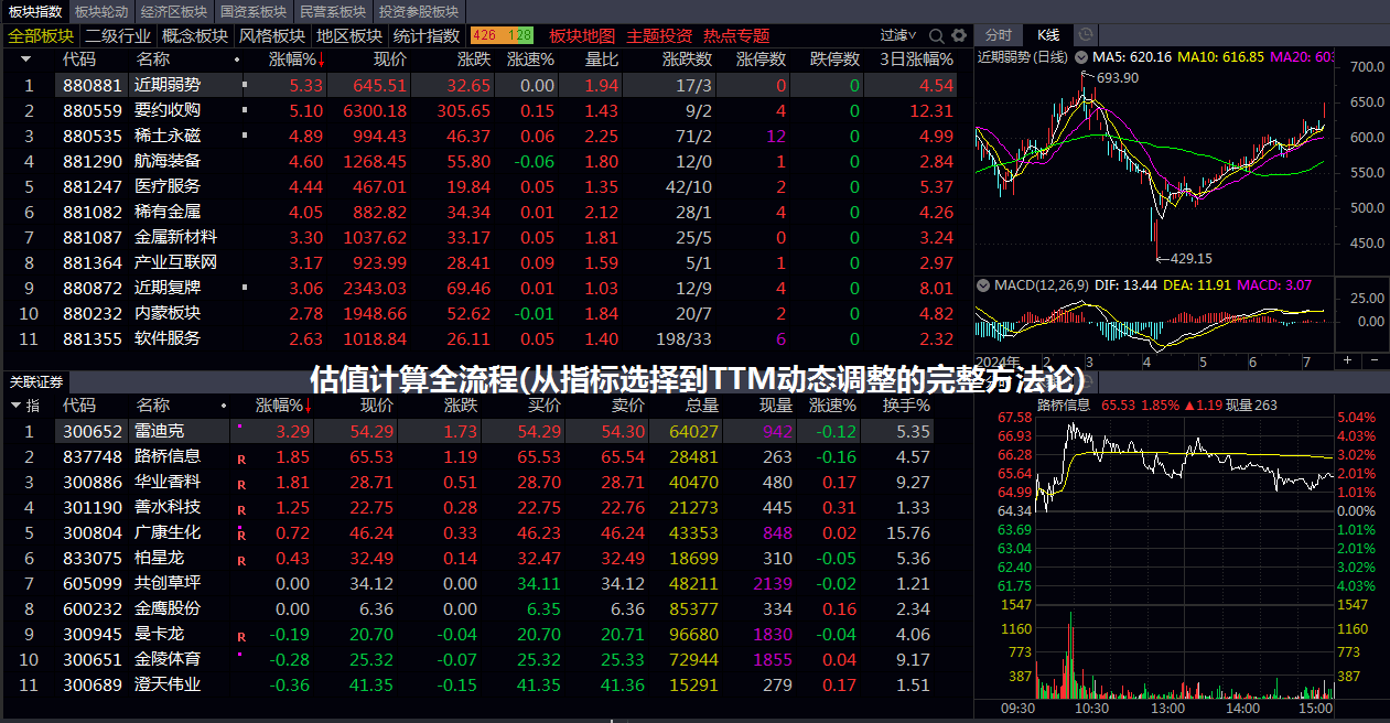 估值计算全流程(从指标选择到TTM动态调整的完整方法论)