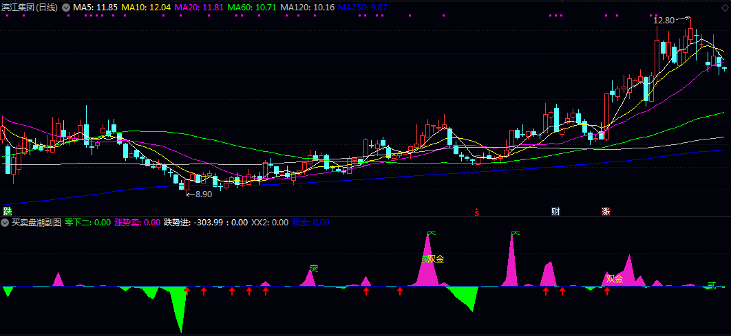 通达信【买卖盘潮】副图指标 参考辅助类公式 可以快速判断资金的流进流出