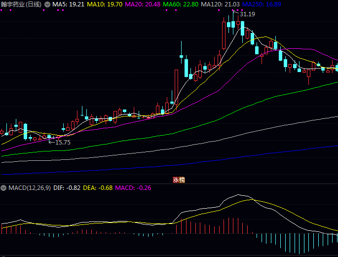 替尔泊肽领域主要上市公司概览 替尔泊肽领域主要上市公司概览