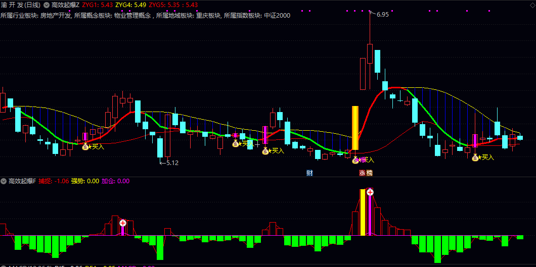 【高效起爆】主图/副图/选股指标 各模块相互验证 趋势跟踪与资金共振 适合短线交易者快速锁定强势品种