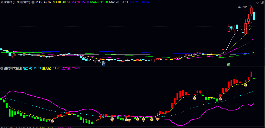 【猎豹出击】副图/选股指标 主力线上穿散户线的突破时机 综合趋势/动量与资金状态筛选多头共振的强势股